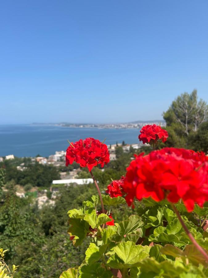 Sea View Apartment
